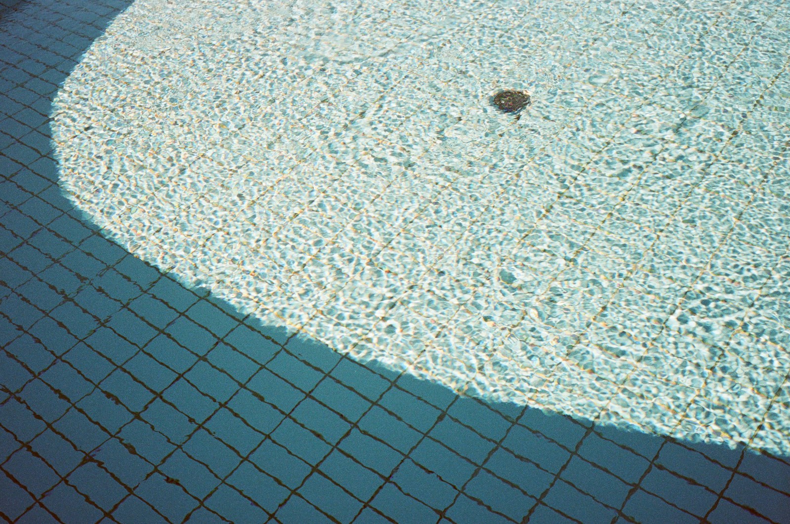 closeup photo of white tile lot algae